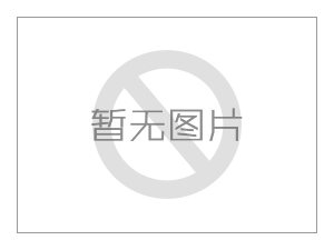 大型不锈钢拦污格栅